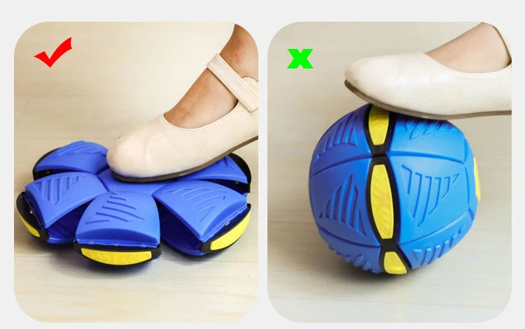 PELOTA DISCO | ENVÍO GRATIS