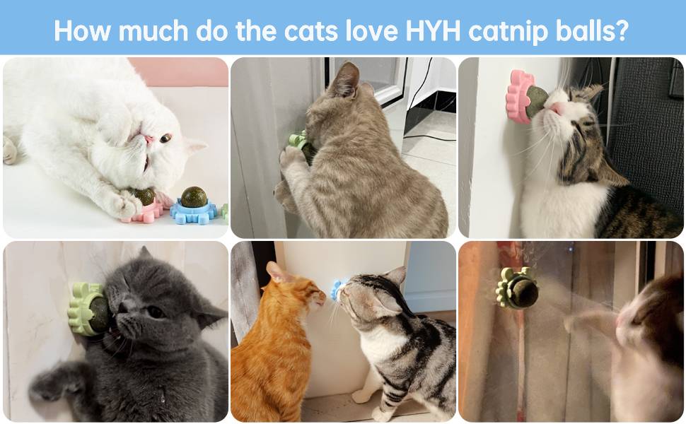 CATNIP BOLITA RELAX | ENVÍO GRATIS