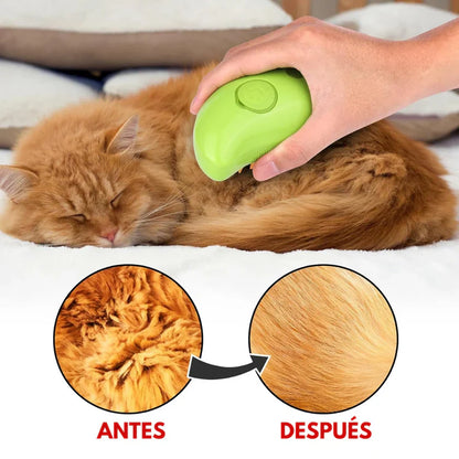 CEPILLO A VAPOR PET | ENVIO GRATIS
