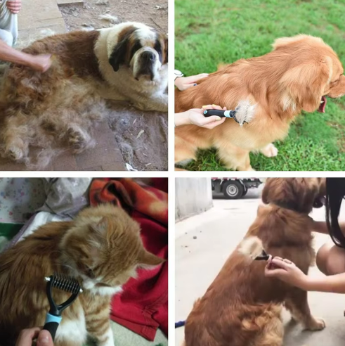 CEPILLO A VAPOR PET | ENVIO GRATIS
