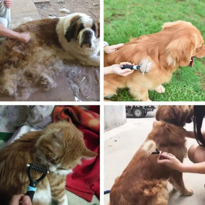 CEPILLO A VAPOR PET | ENVIO GRATIS